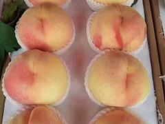 -南汇新场正宗水蜜桃采摘