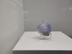 -贝壳王国博物馆