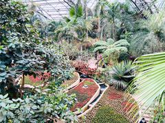 -南山植物园