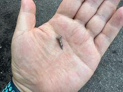 -捷之洁·米其林轮胎汽车维修保养(浦江镇江月路店)