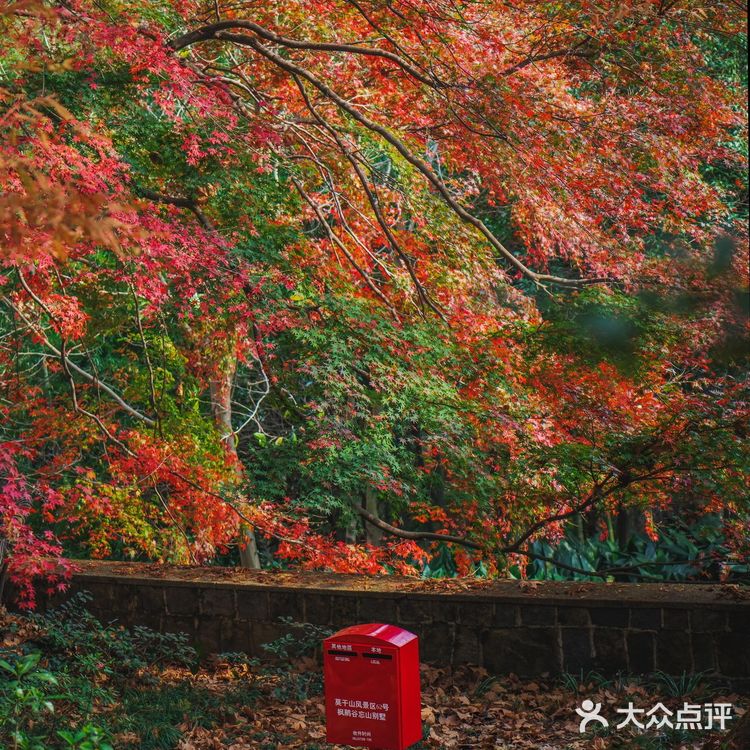 莫干山的深秋,迷人色彩惹人醉