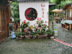 -张鸟园农家乐(张鸟园店)