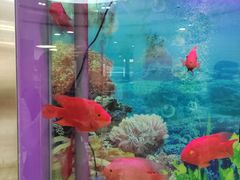 -雅悦齿科(顾村公园店)
