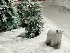 -赤马湖体育滑雪