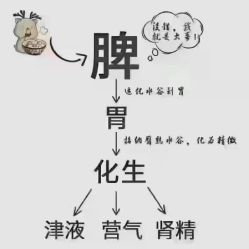 -香薇妮丝女子减肥院