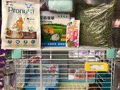 -钓仓鼠(洋桥北里小区店)