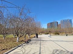 -大望京公园