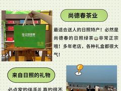 -日照海滨国家森林公园