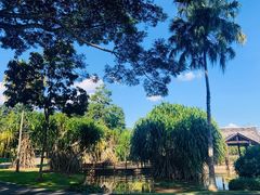 -中国科学院西双版纳热带植物园