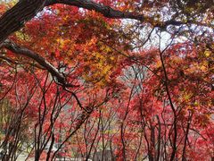 -崂山巨峰游览区