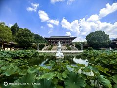 -庐山风景名胜区-东林大佛