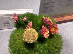 -南堂馆·新川菜(春熙路店)