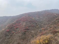 -水峪民俗村