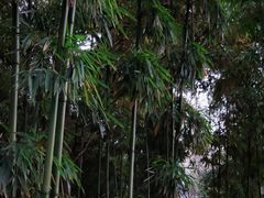 -成都市文殊院