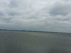 android_upload_pic-呼兰河口湿地公园