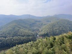 -宁波浙东大竹海景区