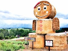 -富田农场