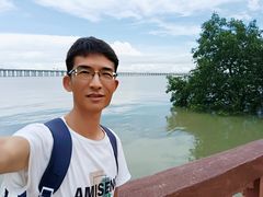 -宝安西湾红树林湿地公园