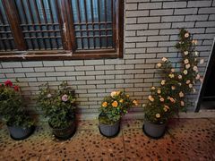-悦真雅院·四合院·清真私房菜(雍和宫店)