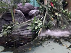 -上海海洋水族馆