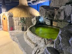 -爱江山温泉(凌奥店)