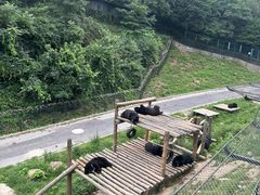 -大连森林动物园