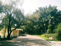 -人民公园(罗湖区)