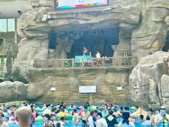 -杭州开元森泊度假乐园