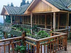 -铁山坪森林公园