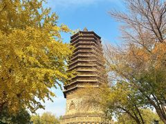 -玲珑塔公园