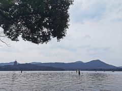-西湖游船