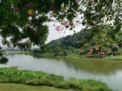 -风云岭森林公园