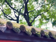 -成都武侯祠博物馆