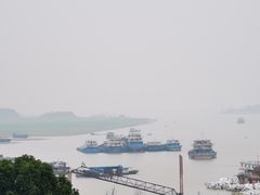 -巴陵全鱼席(湖南老字号汴河街店 )