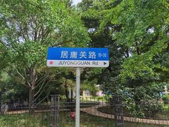 -八大关景区
