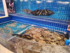 水产区-乔哥铭洋海鲜自助(皇城恒隆广场店)