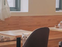 -猫腻·猫咖·撸猫馆(星光大道店)