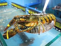 -盒马X会员店(上海森兰商都店)