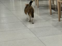 -老游独一佳湘菜馆(高新四路店)