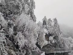 -光雾山旅游景区