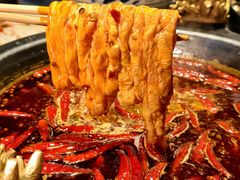 -蜀大侠火锅(总府路店)