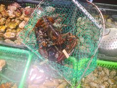 -鑫阿强海鲜大排档·老厦门特色菜(中山路店)