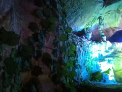 -泰安地下龙宫景区