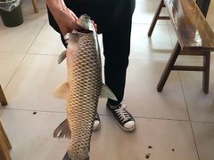 -乡土特色.冷锅鱼.牦牛肉汤锅