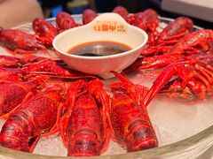 精品冰镇蓝龙虾-红盔甲·小龙虾(天钥桥店)