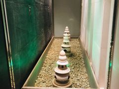 -丽思卡尔顿酒店泳池(金融街店)