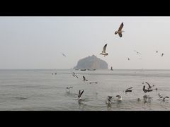 -棒棰岛宾馆景区