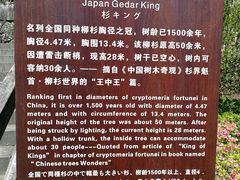 -云中大漈