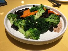 -素虎小呆鸟(西二旗店)