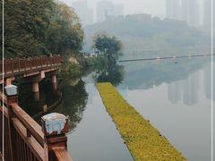 -重庆彩云湖湿地公园